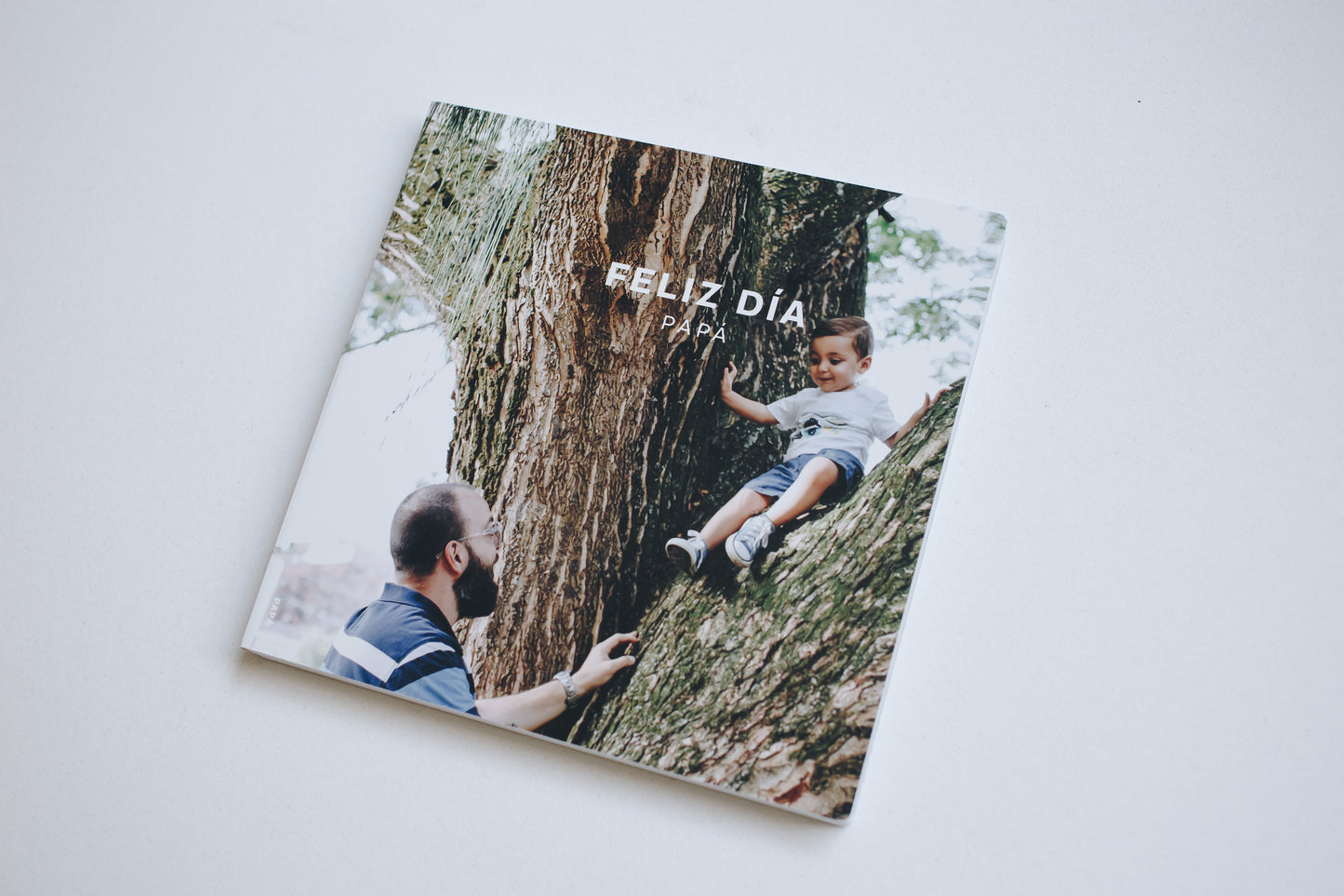 Álbum (layflat) para Papá